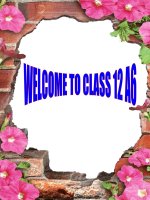 Unit 4 - E 12CB - SPEAKING ( Hoi giang)