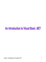 An introduction to visual basic  NET ppt