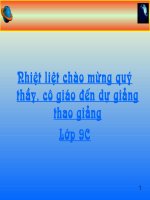 Sự nhiễm từ của sắt, thép