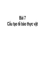 Bài 7: CẤU TẠO TẾ BÀO THỰC VẬT