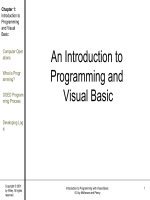 An introduce to programming and visual basic