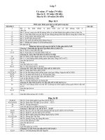 PPCT SƯ 7 giảm tai