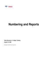 tekla tutorial lesson 8 numbering and reports