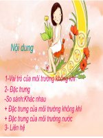 anh huong moi truong khong khi