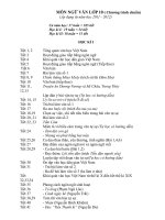 PPCT Ngữ Văn 10 ( Thực hiện giảm tải)