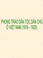 Phong trào dân tộc dân chủ ở việt nam (1919 - 1925)