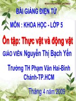 Ôn tập Thực vật và động vật - KH5