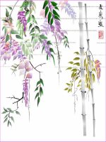 Chuyen người con gái Nam xương