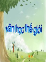 đánh nhau với cối xay gió