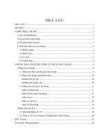 Phân tích tín dụng công ty Dược Hậu Giang