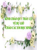 Bài 12: Những thành Tựu Chủ Yếu Và Ý Nghĩa CM KHKT