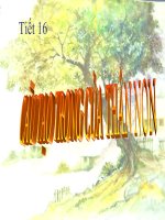 Bài giảng Sinh học lớp 6 Tiết 16