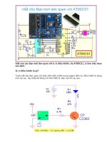 Viết cho các bạn mới làm quen với ic vi điều khiển