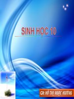 Bài 4. CABOHIĐRAT VÀ LIPIT