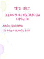 TIẾT 28 BÀI 27 ĐA DẠNG VÀ ĐẶC ĐIỂM CHUNG CỦA SÂU BỌ