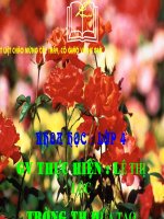 KH4 - BẠN CẢM THẤY THẾ NÀO KHI BỊ BỆNH - TUẦN 8