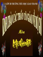 Bài 11: Vẽ tiếp...đường diềm (rất hay)