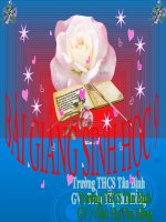 Bài 10. Giảm phân