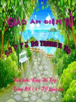 Động Vật Trong Rừng