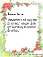 Bài 12 Biến dạng của rễ