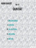 Bài 15: GIUN ĐẤT