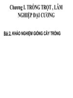 Bai 2  Khao nghiem giong cay trong (CN10)