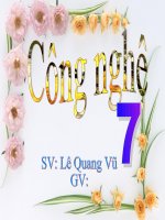 bài 13 . phòng chống sâu bệnh