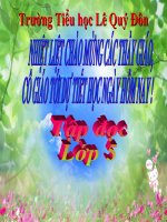 nhung nguoi ban tot lop 5