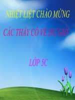 Luyện tập về từ nhiều nghĩa - lớp 5