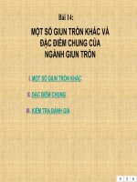 Bài 14: MỘT SỐ GIUN TRÒN KHÁC