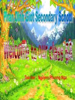 giao an 6 hay tuyet cu meo