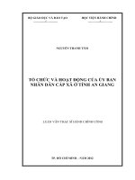 giải pháp Nâng cao năng lực Tổ chức và hoạt động của Ủy ban nhân dân cấp xã ở tỉnh An Giang
