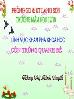 Câc Loại Côn Trùng