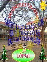 Bài 29. Bệnh và tật di truyền ở người