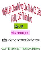 tiet 8 : cau tao va tinh chat cua xuong