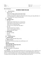 bai 5. ve trang trí. TAO DAÙNG VAØ TRANG TRÍ LOÏ HOA