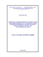 Nghiên cứu đặc điểm sinh học, sinh thái và khả năng phòng chống sâu ăn lá diaphania indica saunders (lepidoptera pyralidai) hại dưa chuột vụ đông xuân 2012 - 2013 tại yên phong, bắc ninh