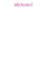 ĐA DẠNG  CỦA NGÀNH RUỘT KHOANG