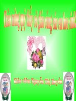 Đánh nhau với cối xay gió tiết 2