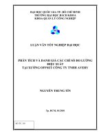 PHÂN TÍCH VÀ ĐÁNH GIÁ CÁC CHỈ SỐ ĐO LƯỜNG HIỆU SUẤT  TẠI XƯỞNG OFFSET CÔNG TY TNHH AVERY - LV ĐẠI HỌC BÁCH KHOA