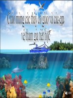 Phản xạ âm, Tiếng vang