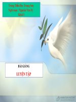 Toán luyện tập lớp 1