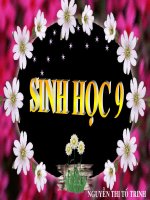 bai 13 DI TRUYÊN LIÊN KÊT