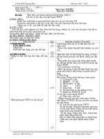 Giao an the 6 ca nam