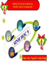 tiết 12: cơ chế xác định giới tính