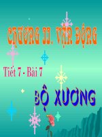 Bài 7: Bộ xuơng