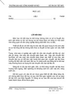 đồ án chi tiết máy - đai dẹt , đai thang, xích