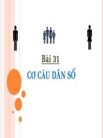 CƠ CẤU DÂN SỐ