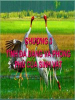 Tính đa dạng và phong phú của sinh vật