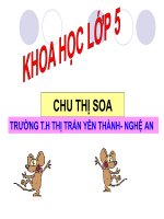 PHÒNG BỆNH SỐT XUẤT HUYẾT